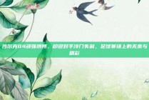 沙尔克04顽强拼搏，却迎对手冷门失利，足球赛场上的无奈与精彩