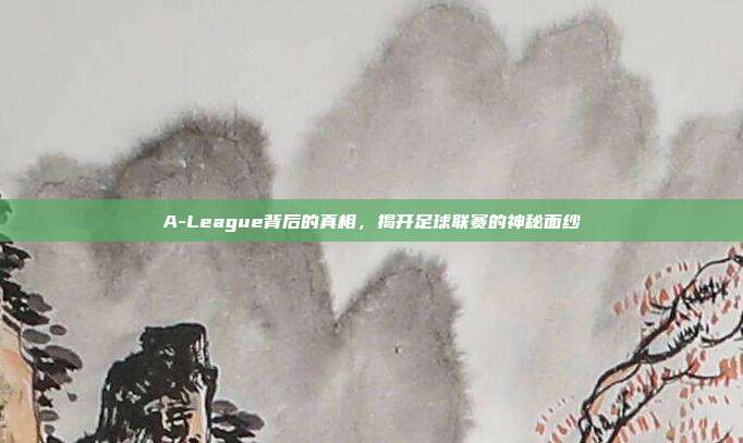 A-League背后的真相，揭开足球联赛的神秘面纱  第1张