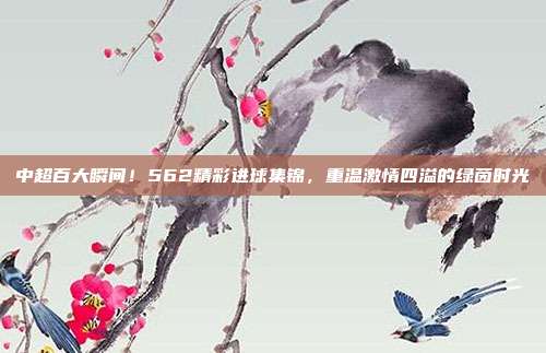 中超百大瞬间！562精彩进球集锦，重温激情四溢的绿茵时光  第1张