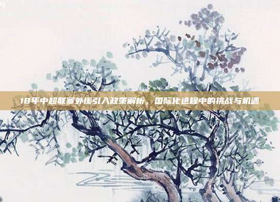 18年中超联赛外援引入政策解析，国际化进程中的挑战与机遇  第1张