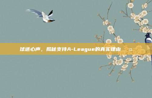 球迷心声，揭秘支持A-League的真实理由🎤  第1张