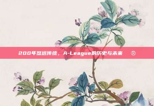 200年悠远传统，A-League的历史与未来🔮  第1张