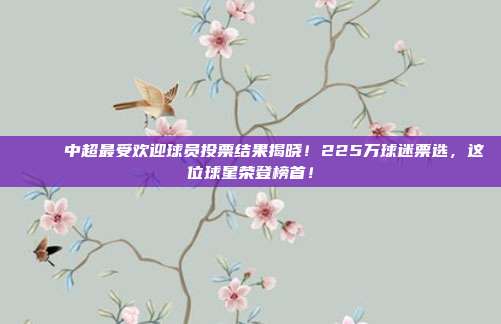 🏅 中超最受欢迎球员投票结果揭晓！225万球迷票选，这位球星荣登榜首！  第1张