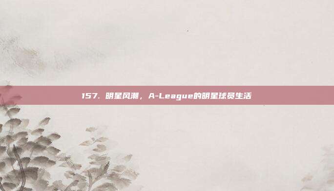 157. 明星风潮，A-League的明星球员生活  第1张