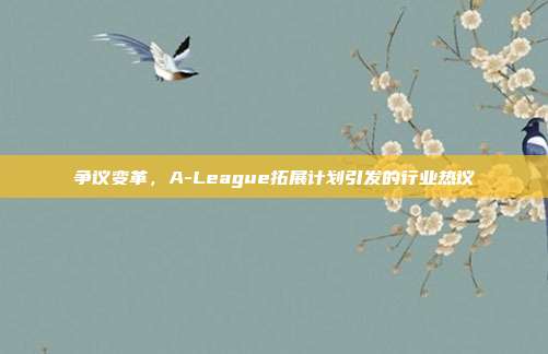 争议变革，A-League拓展计划引发的行业热议  第1张