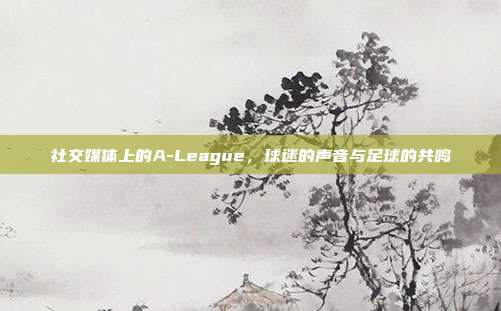 社交媒体上的A-League，球迷的声音与足球的共鸣  第1张