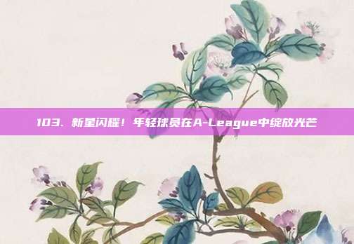 103. 新星闪耀！年轻球员在A-League中绽放光芒✨  第1张