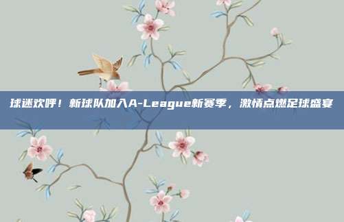 球迷欢呼！新球队加入A-League新赛季，激情点燃足球盛宴🎉  第1张