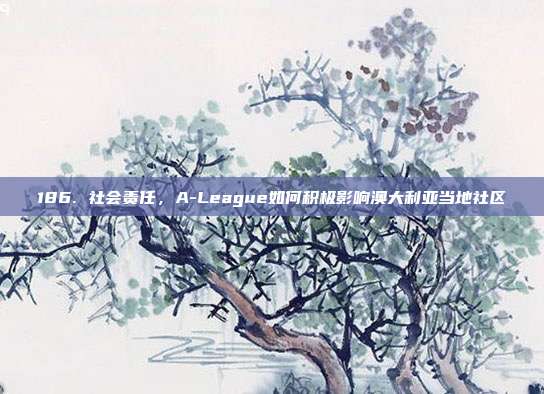 186. 社会责任，A-League如何积极影响澳大利亚当地社区  第1张