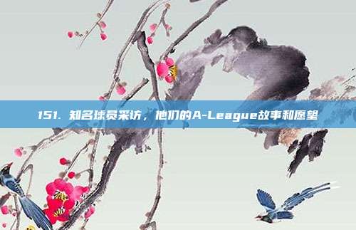 151. 知名球员采访，他们的A-League故事和愿望  第1张