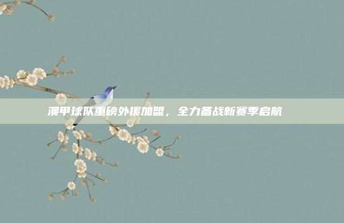 澳甲球队重磅外援加盟，全力备战新赛季启航 ✈️  第1张