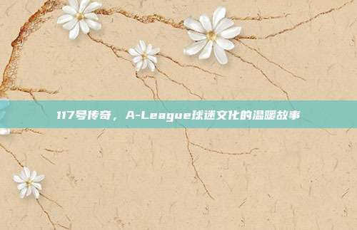 117号传奇，A-League球迷文化的温暖故事  第1张