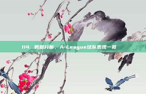 114. 数据分析，A-League球队表现一览📊  第1张