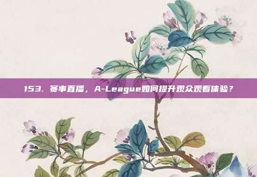 153. 赛事直播，A-League如何提升观众观看体验？  第1张